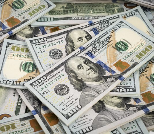 Foto de muitas notas de dólar espalhadas. Todas elas estão bastante novas.
