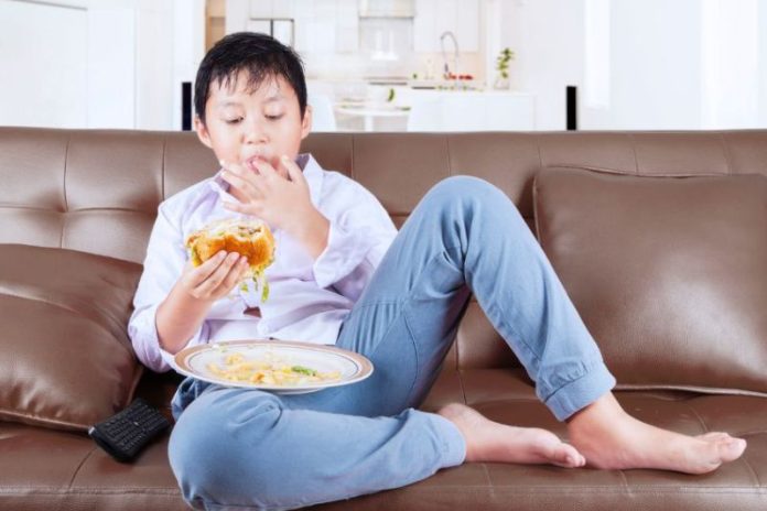 Menino está sentado no sofá e comendo hamburguer com batata frita, que é péssimo para alimentação infantil.